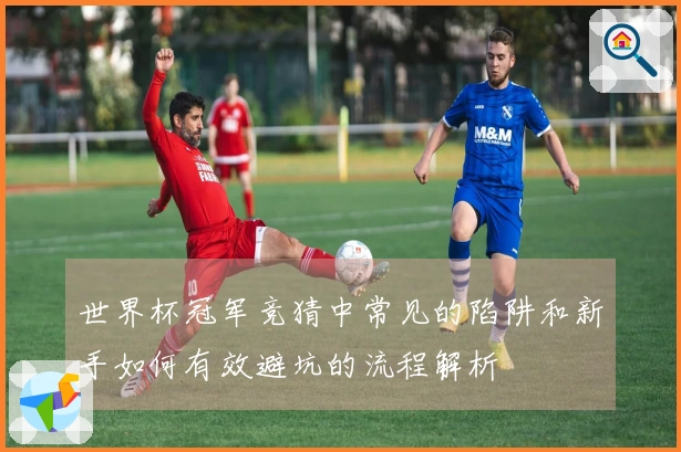 世界杯冠军竞猜中常见的陷阱和新手如何有效避坑的流程解析